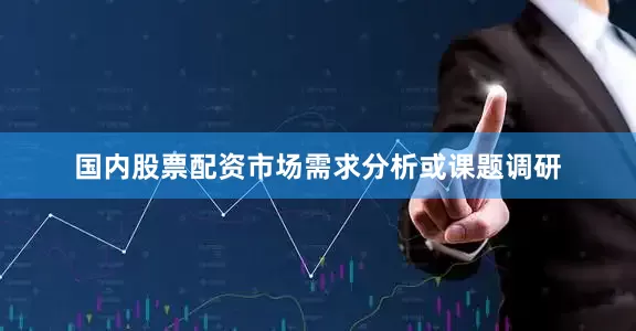 国内股票配资市场需求分析或课题调研