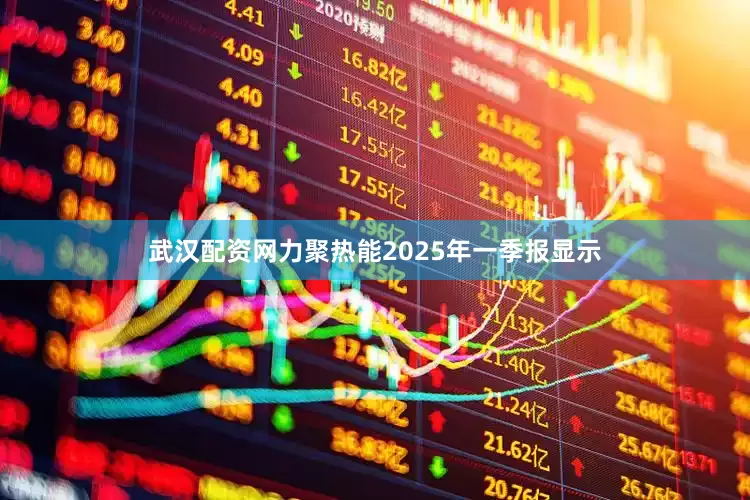 武汉配资网力聚热能2025年一季报显示
